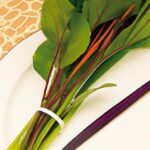 Mastering Flavor: Your Ultimate Guide to Cooking with Herbs